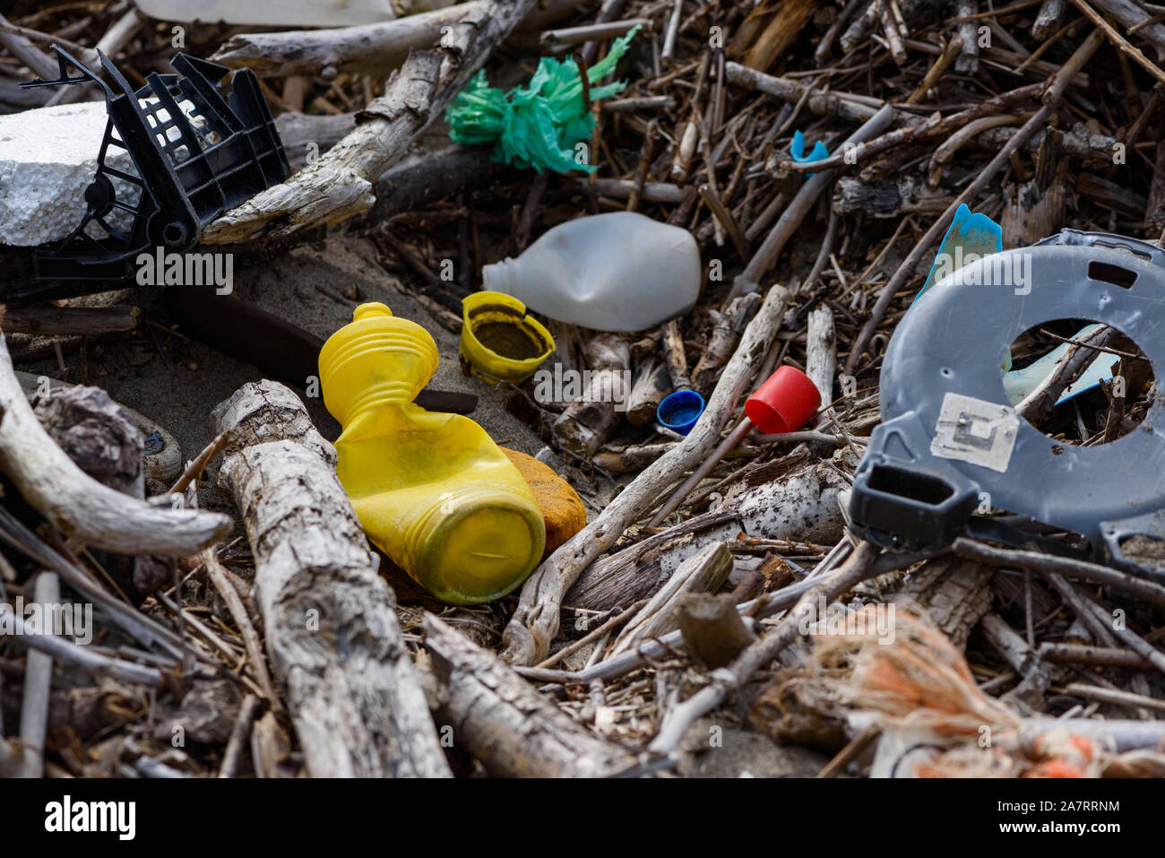 Different types of plastics pollution in drift wood on ocean shore