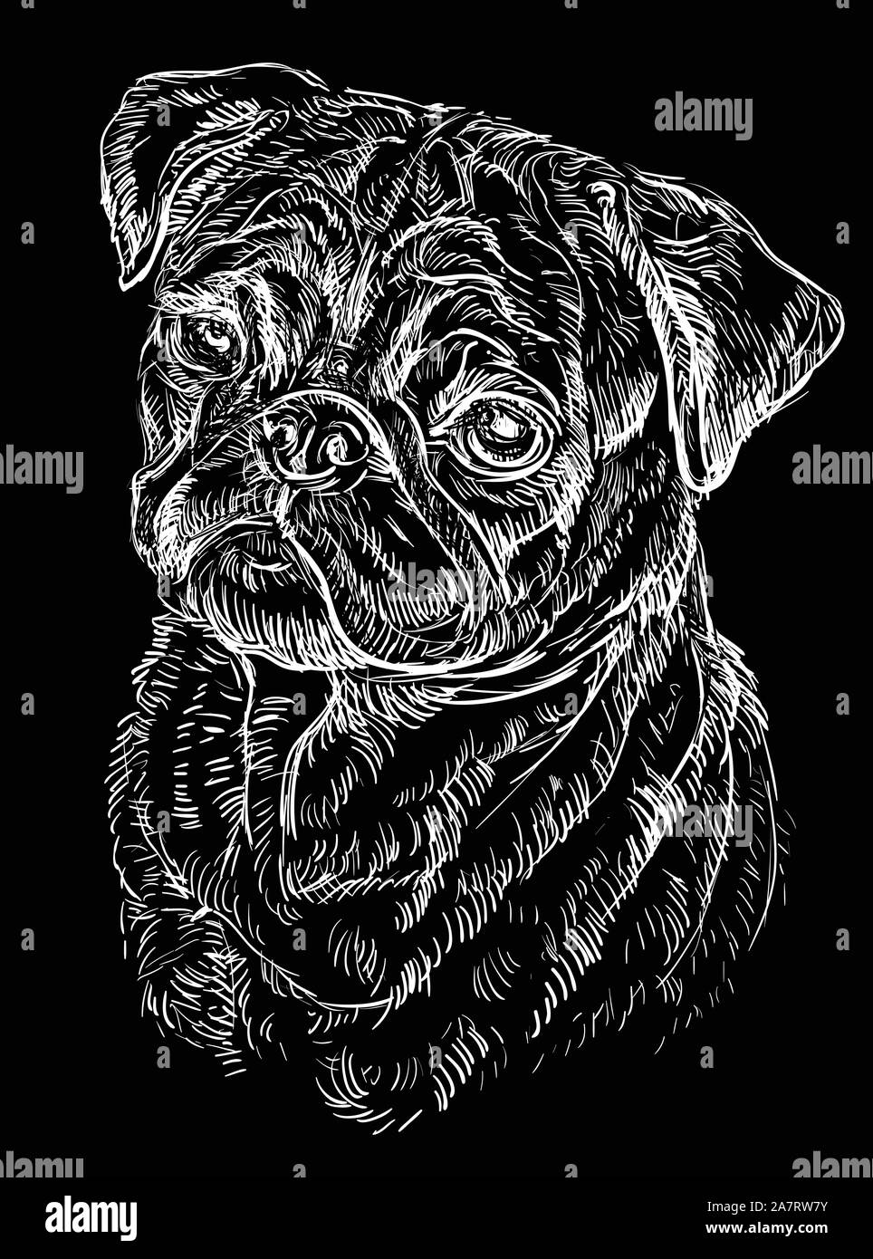 Pug vector hand drawing illustration in white color isolated on black background Stock Vector