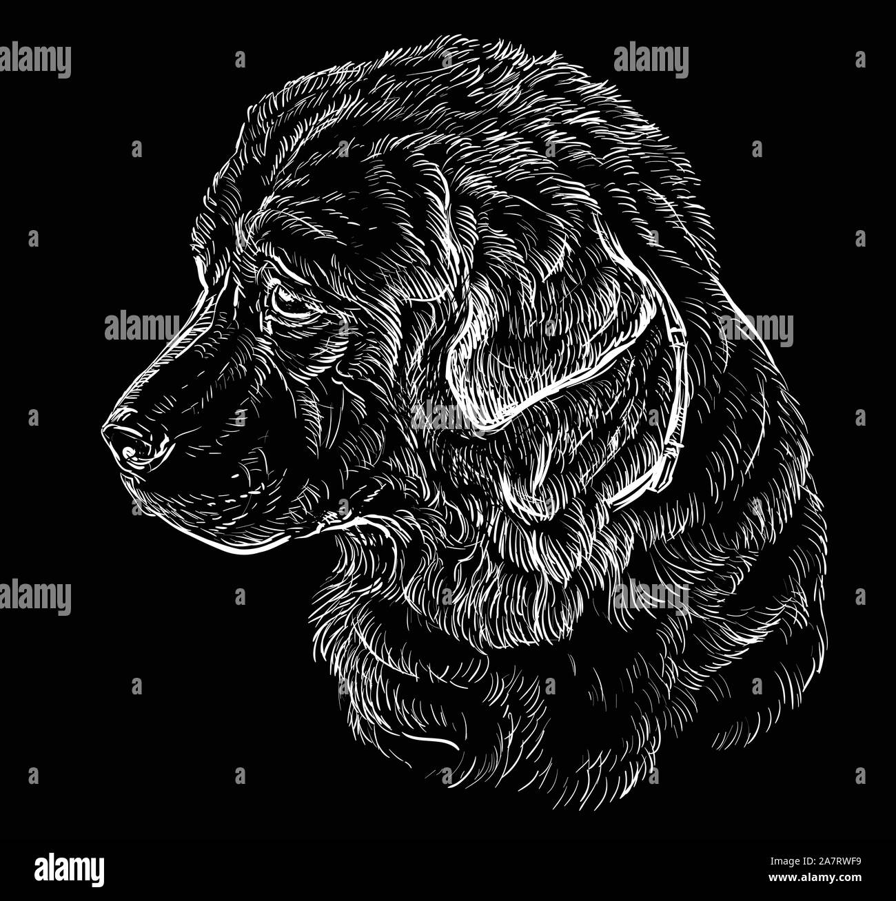 Caucasian Shepherd Dog vector hand drawing illustration in white color isolated on black background Stock Vector