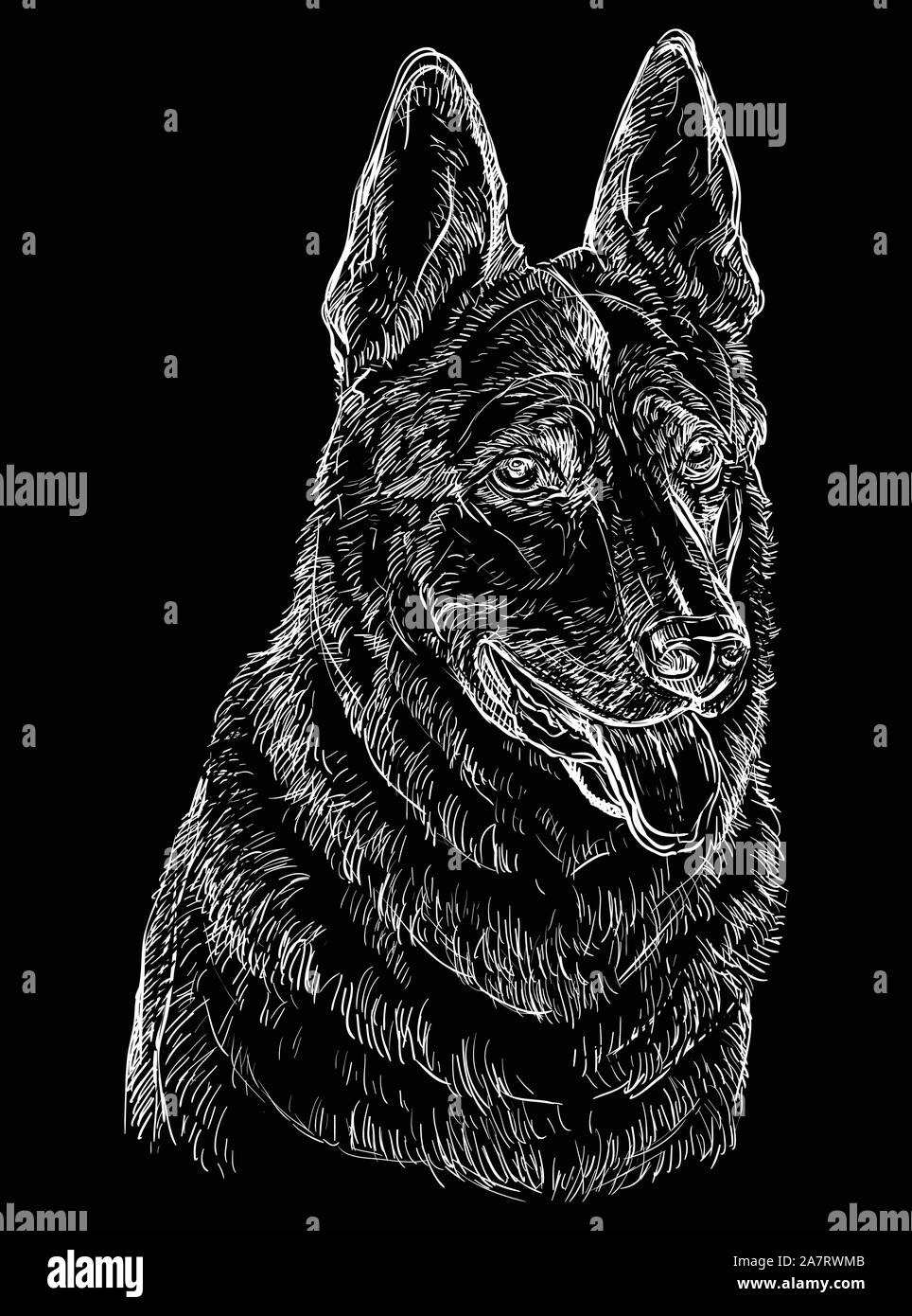 German Shepherd Dog vector hand drawing illustration in white color isolated on black background Stock Vector