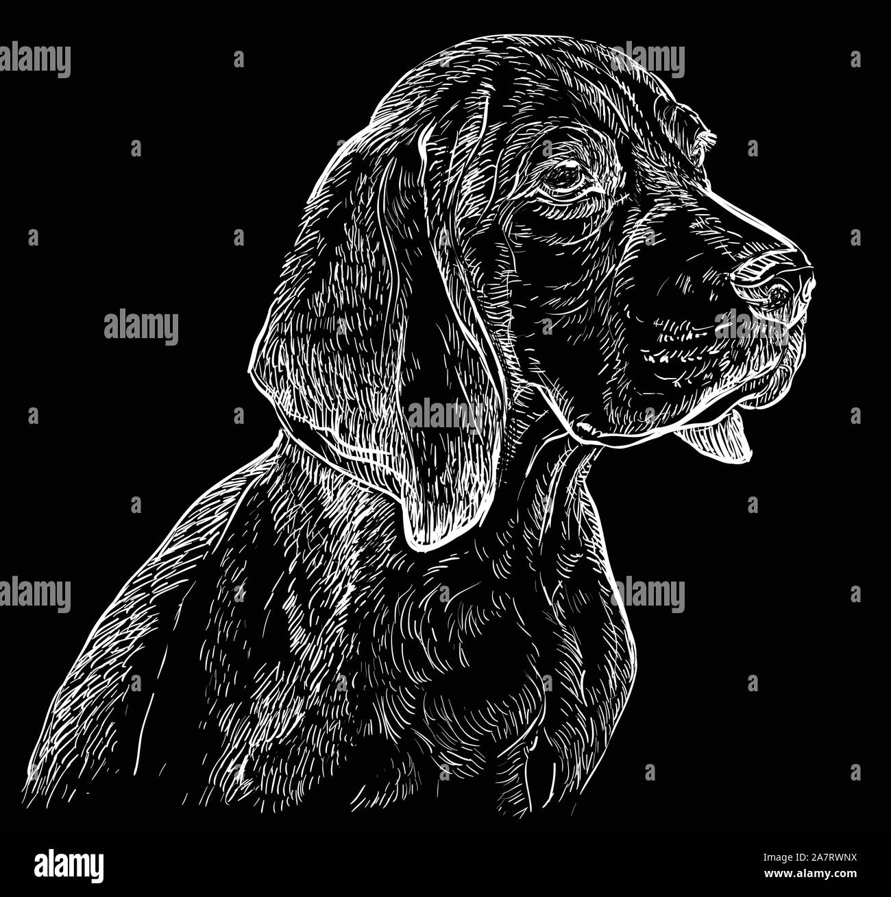 Beagle vector hand drawing illustration in white color isolated on black background Stock Vector