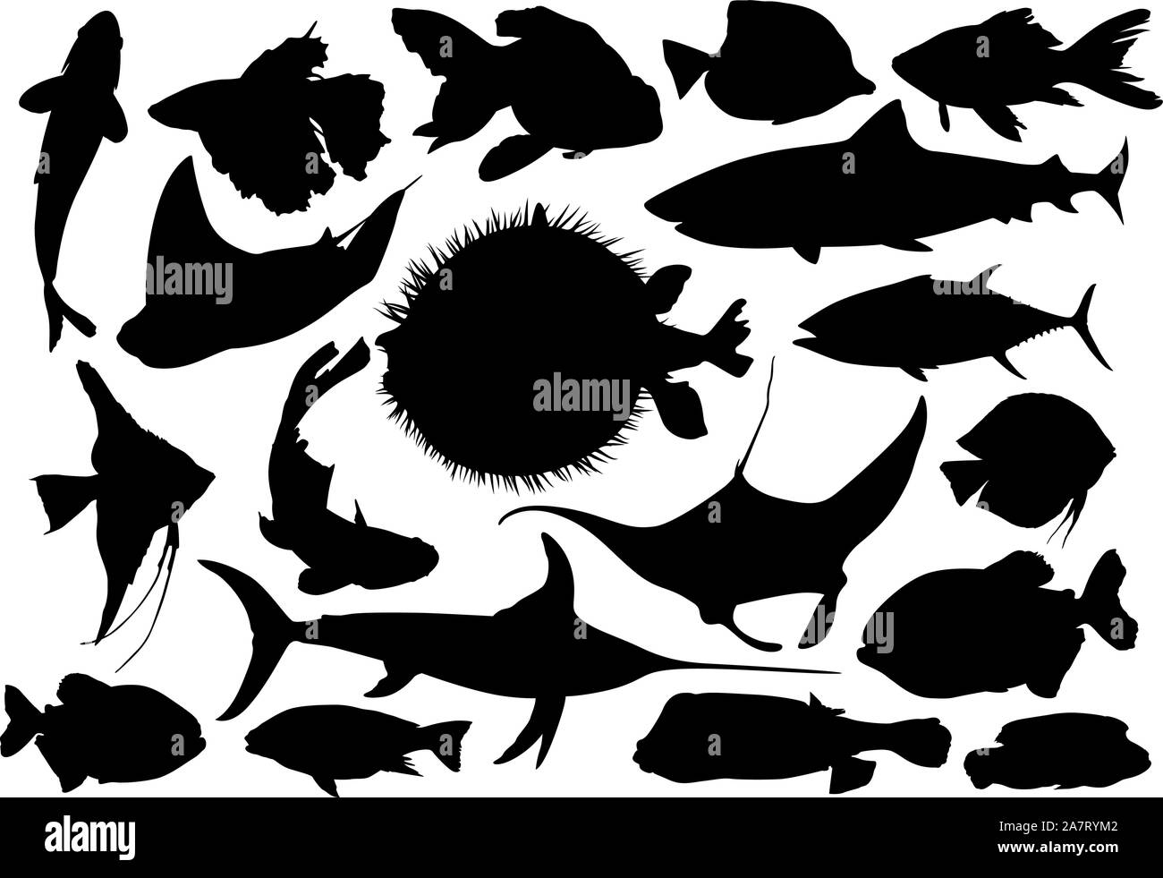 Aquatic fish black vector silhouettes Stock Vector