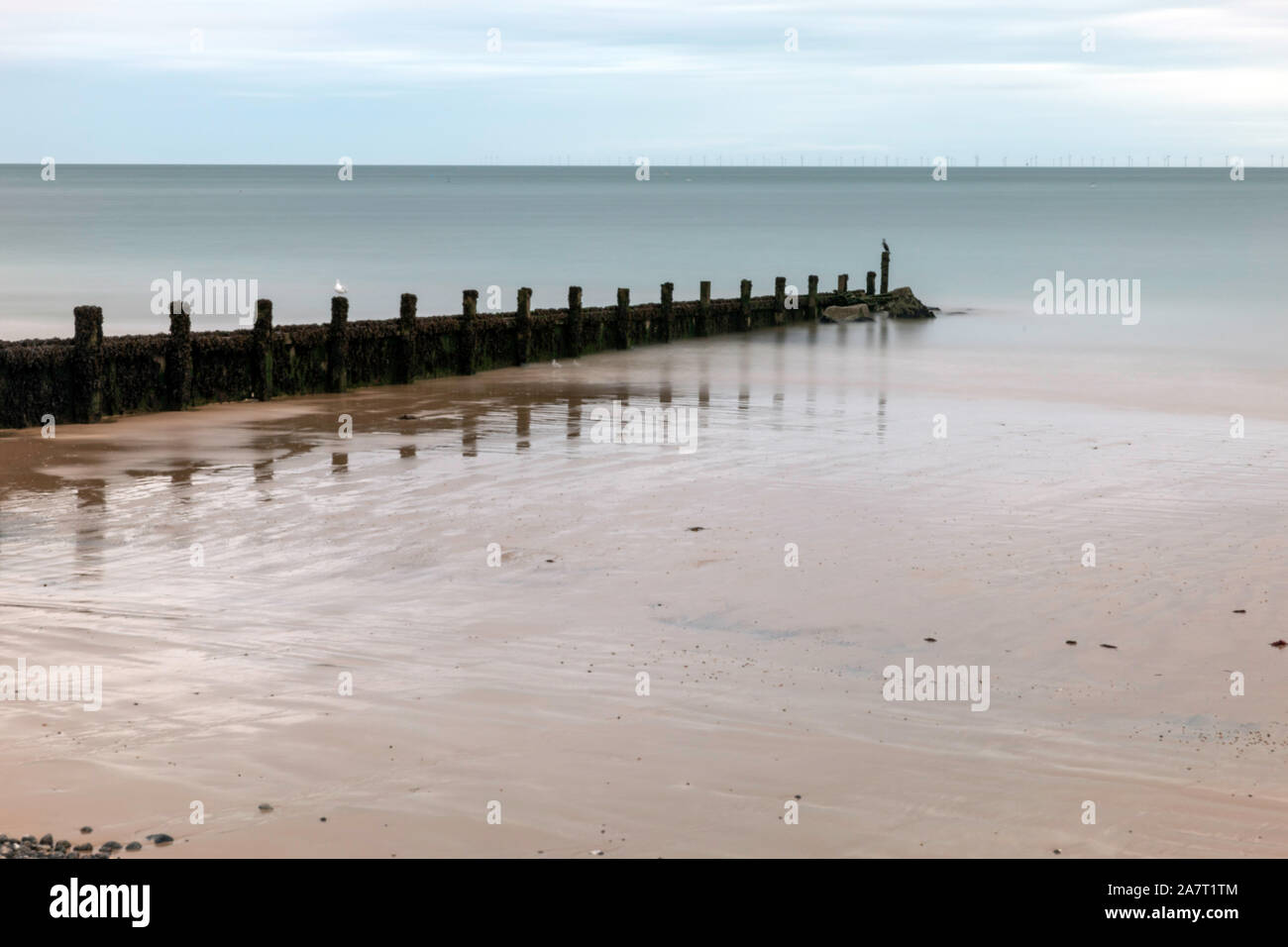 Environment beaches hi-res stock photography and images - Alamy