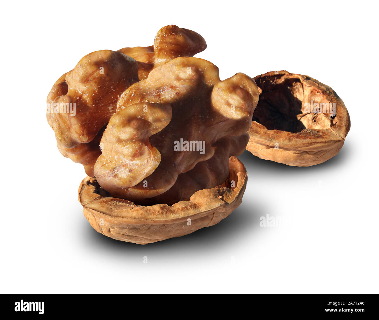 Successful investment concept as a huge nut inside a small walnut shell as a pension fund symbol as an icon for profits or as a business success. Stock Photo