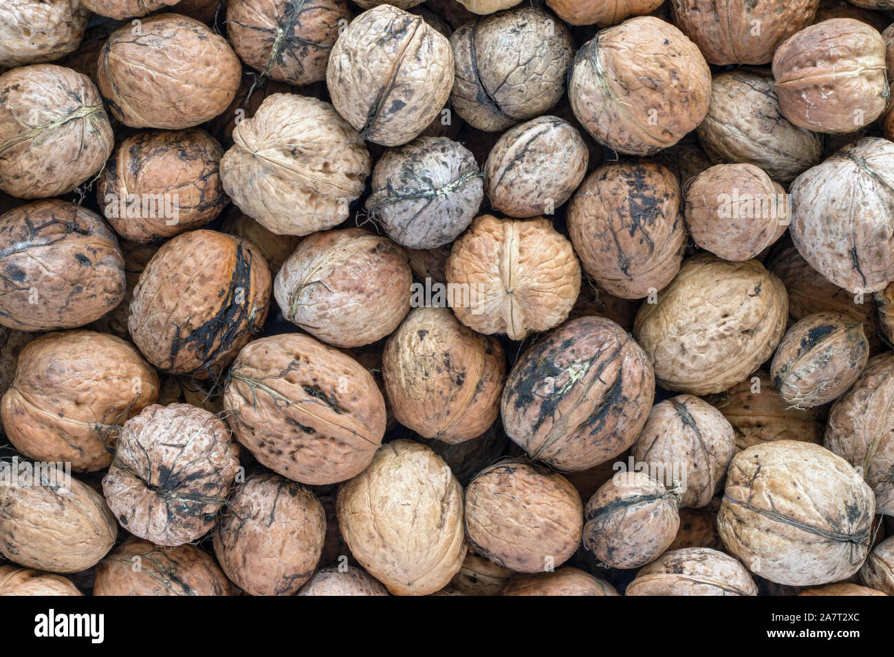 Heap of walnuts - autumn fruits Stock Photo