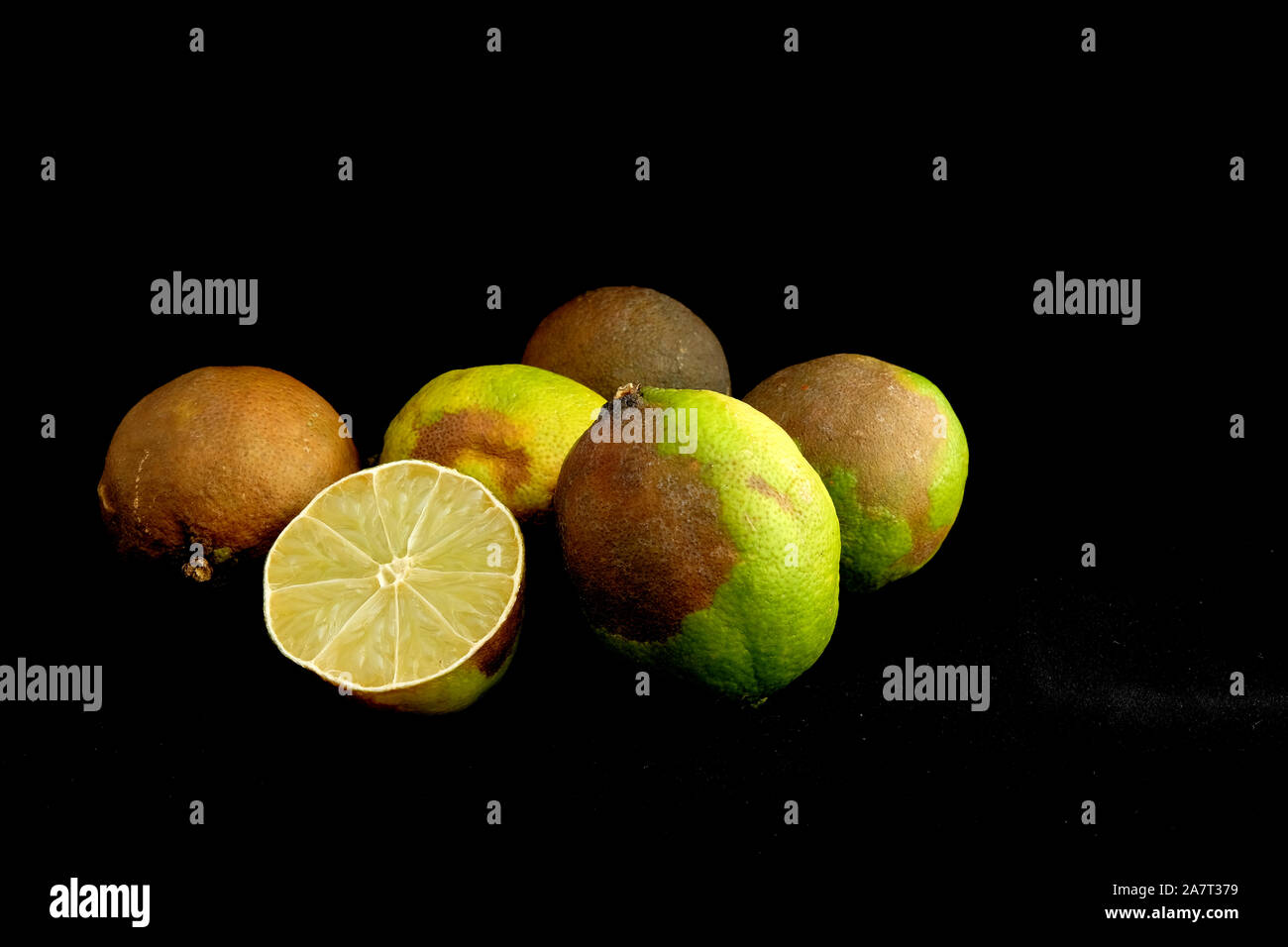 Rotting limes hires stock photography and images Alamy