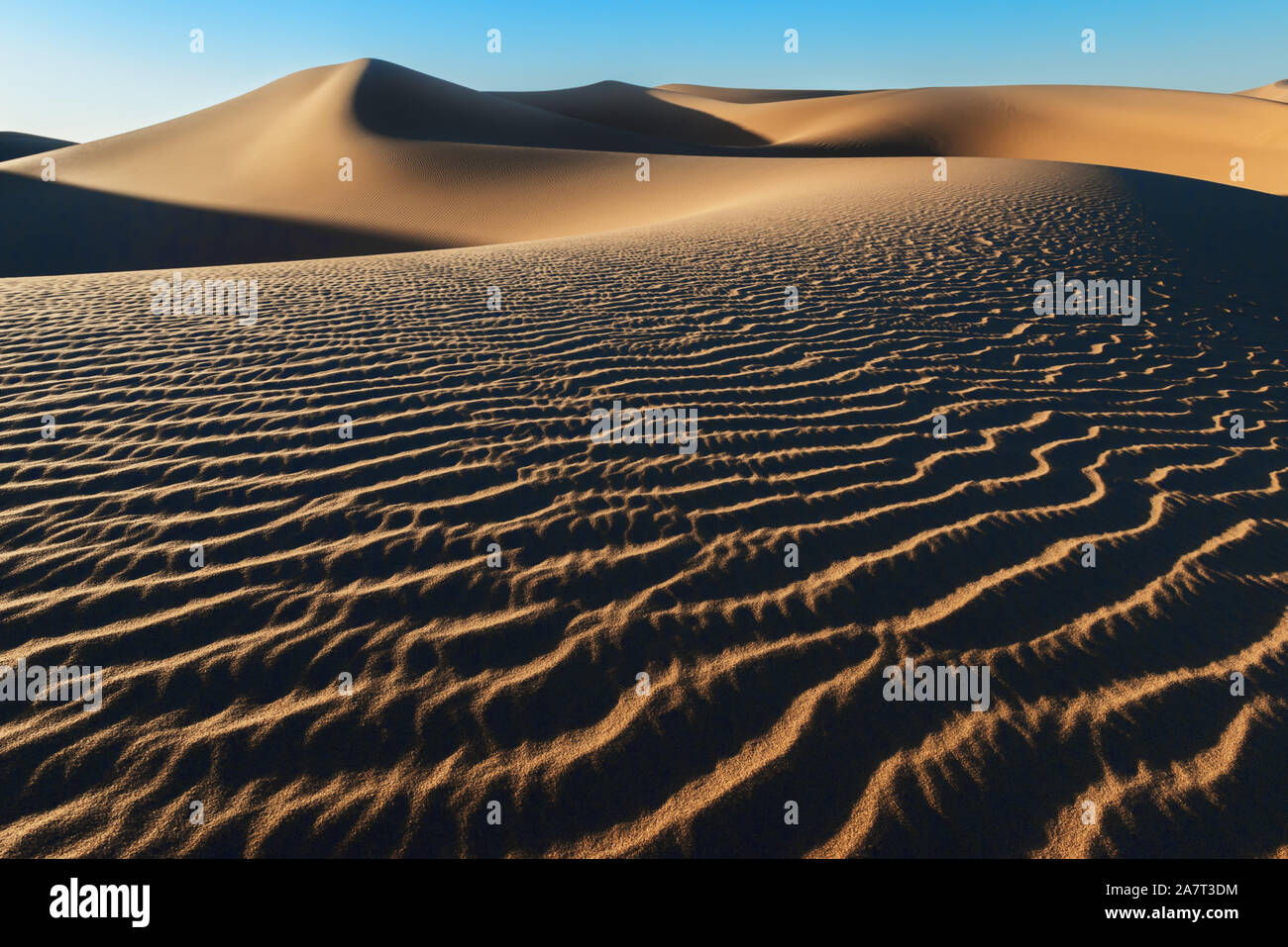 Sahara desert sand dunes, Erg Lihoudi, Morocco. Stock Photo