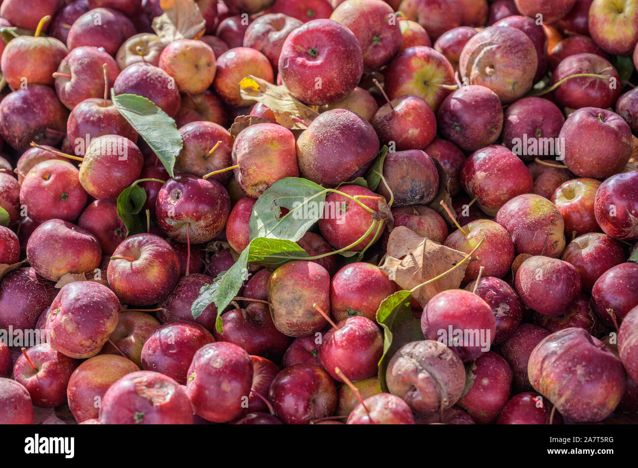 Fruits in a street market - apples Stock Photo - Alamy