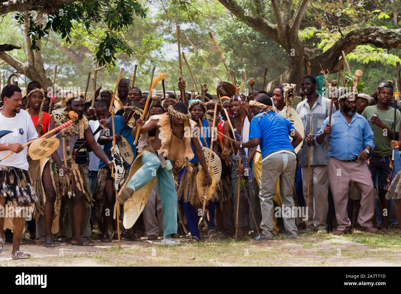 A procession of singing and dancing Zulu men, some in traditional attire of animal skin aprons and headbands, with traditional weapons like knobkierie. Stock Photo