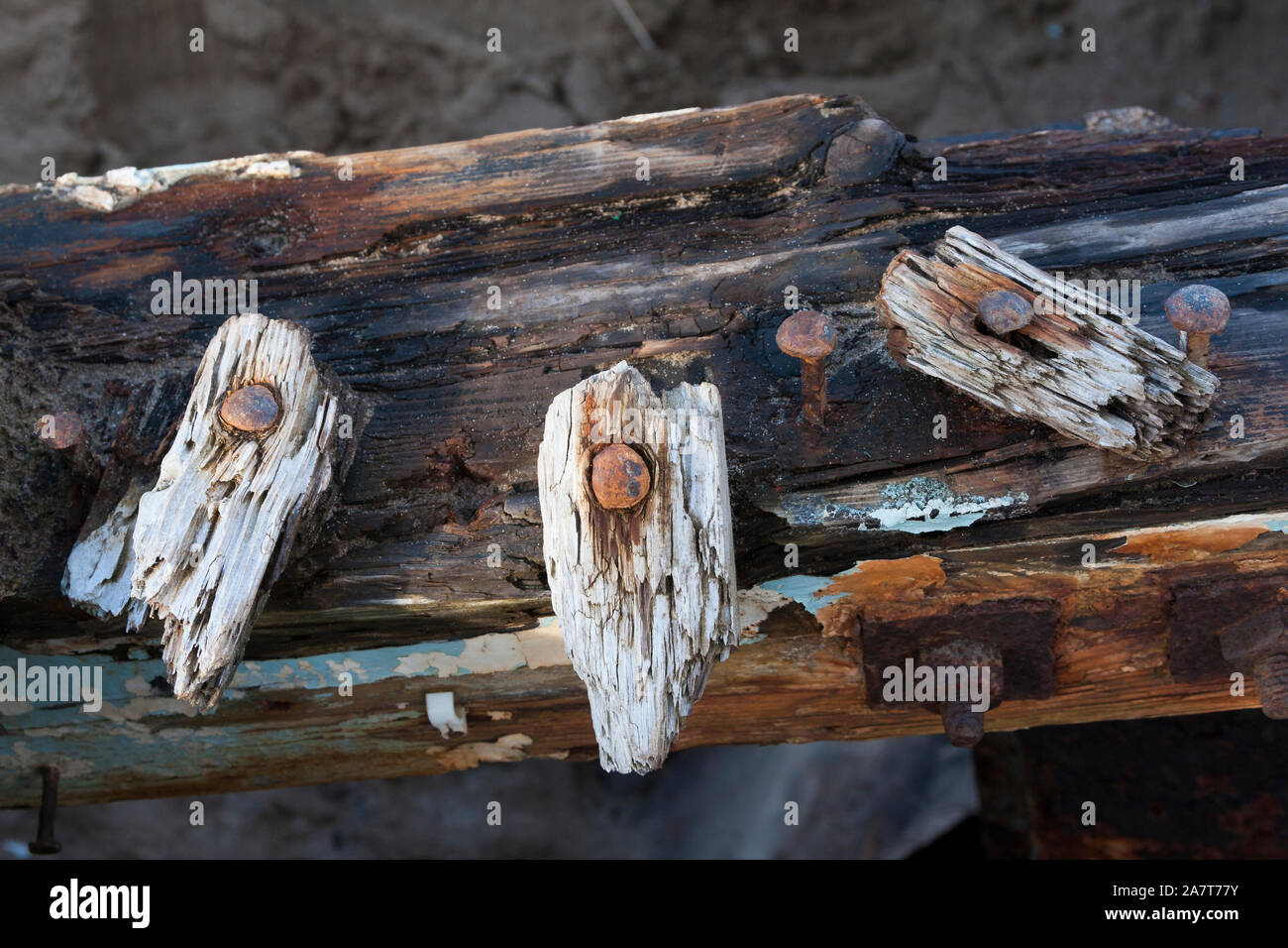 Close up of rotting wood on an old shipwreck at Crow Point in North Devon, UK Stock Photo