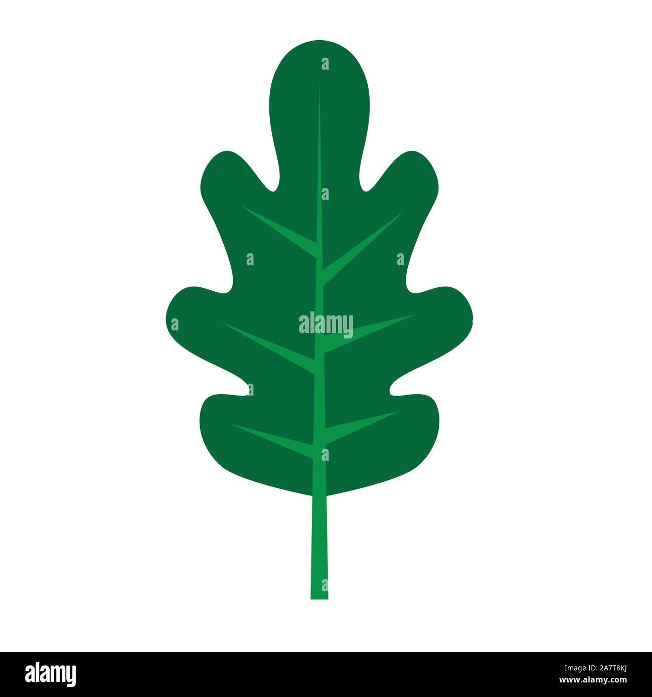 green oak leaf icon- vector illustration Stock Vector Image & Art - Alamy