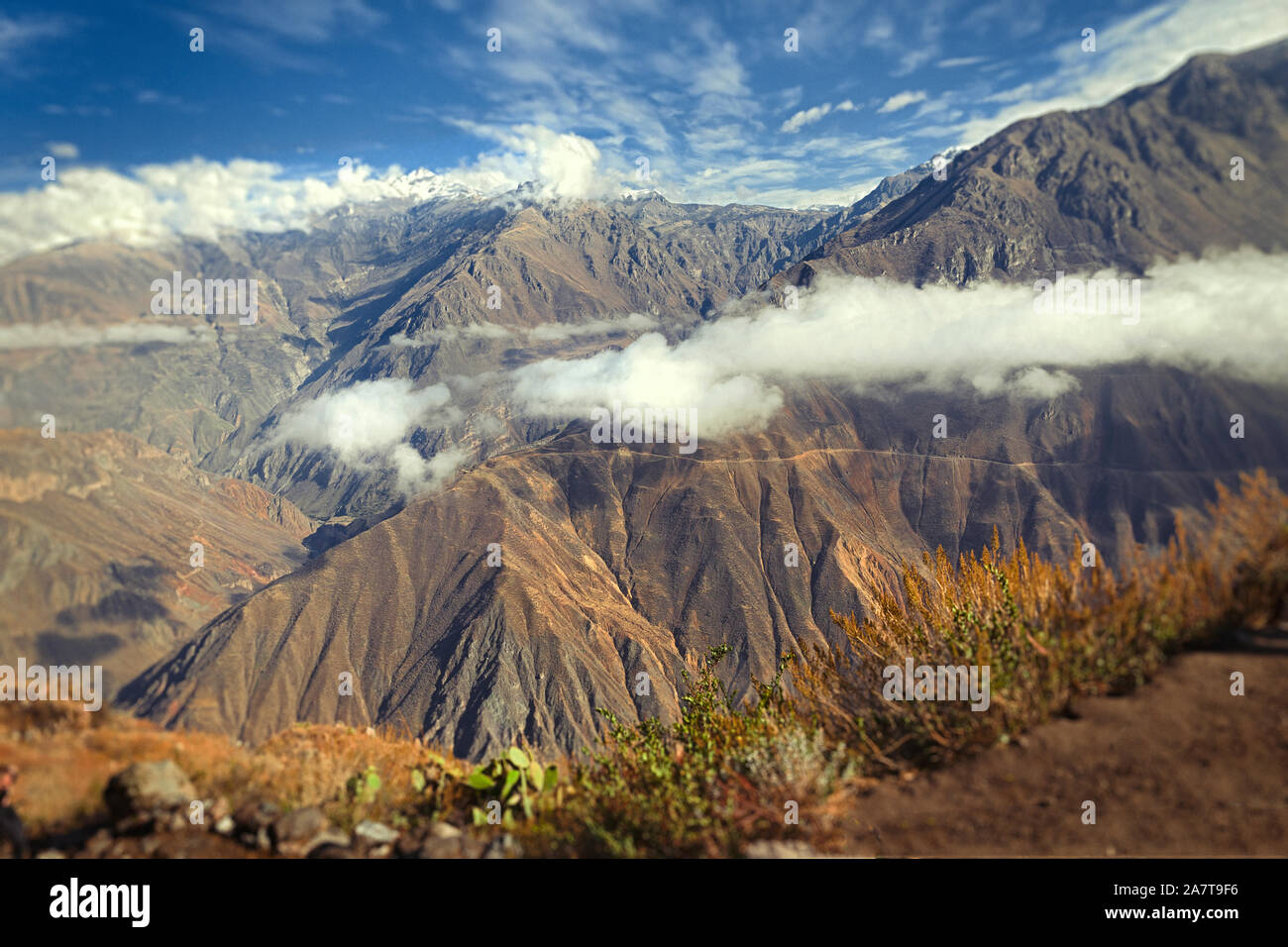 The Colca Canyon is a canyon of the Colca River in southern Peru ...