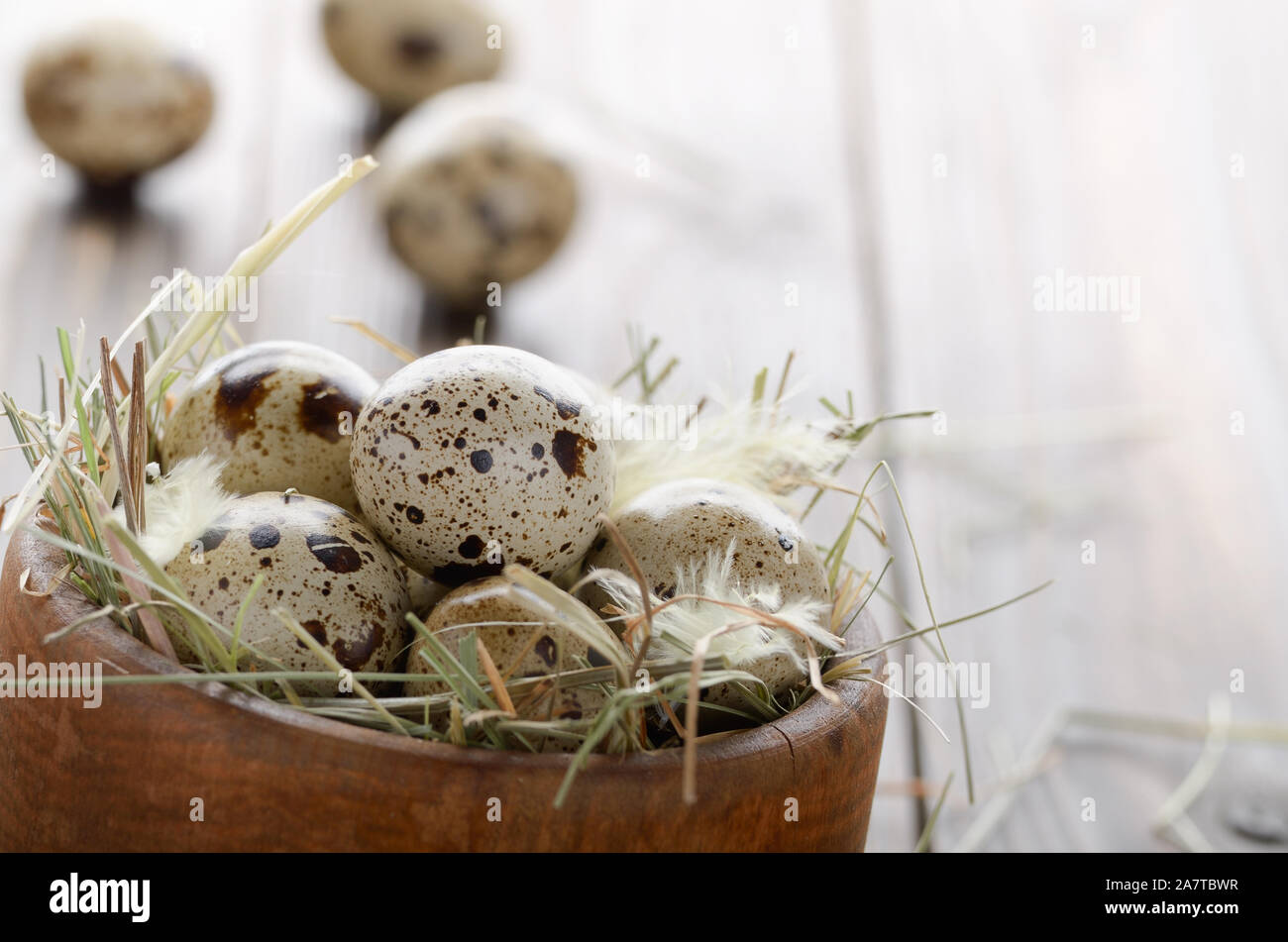 Fresh organic quail eggs in wooden bowl on rustic kitchen table. Space for text Stock Photo