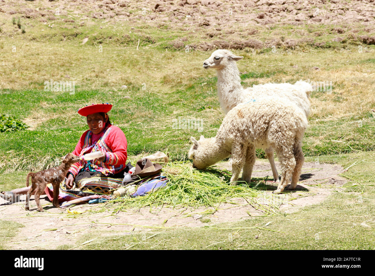 peruvian textiles alpaca