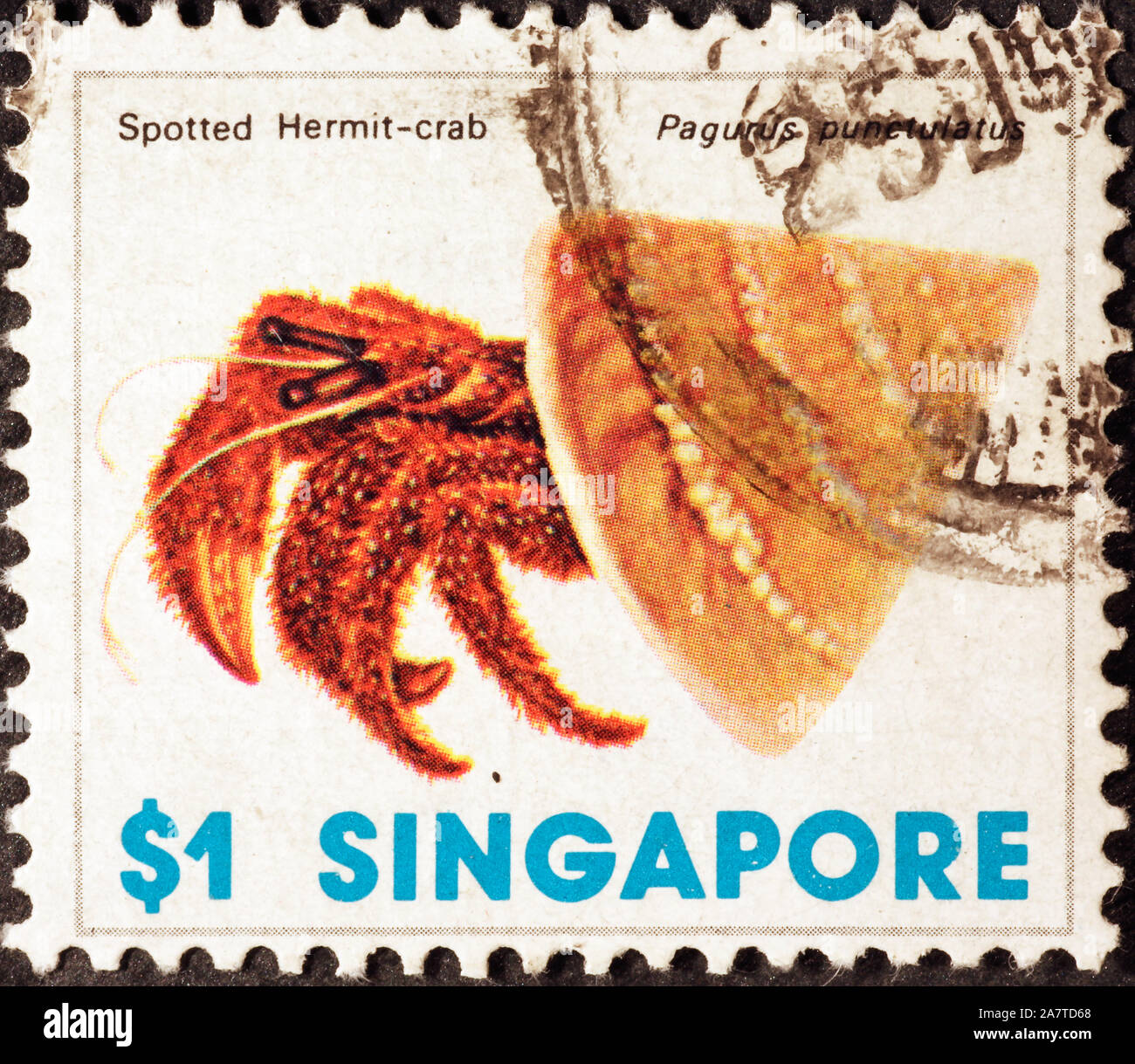 Hermit crab on postage stamp of Singapore Stock Photo Alamy