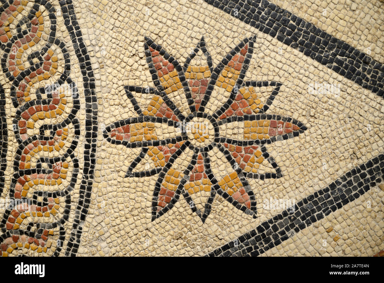 Flower and Petals of Roman Floor Mosaic 1st-2nd AD from Rue Pasteur Nimes France (Musée de la Romanité) Stock Photo