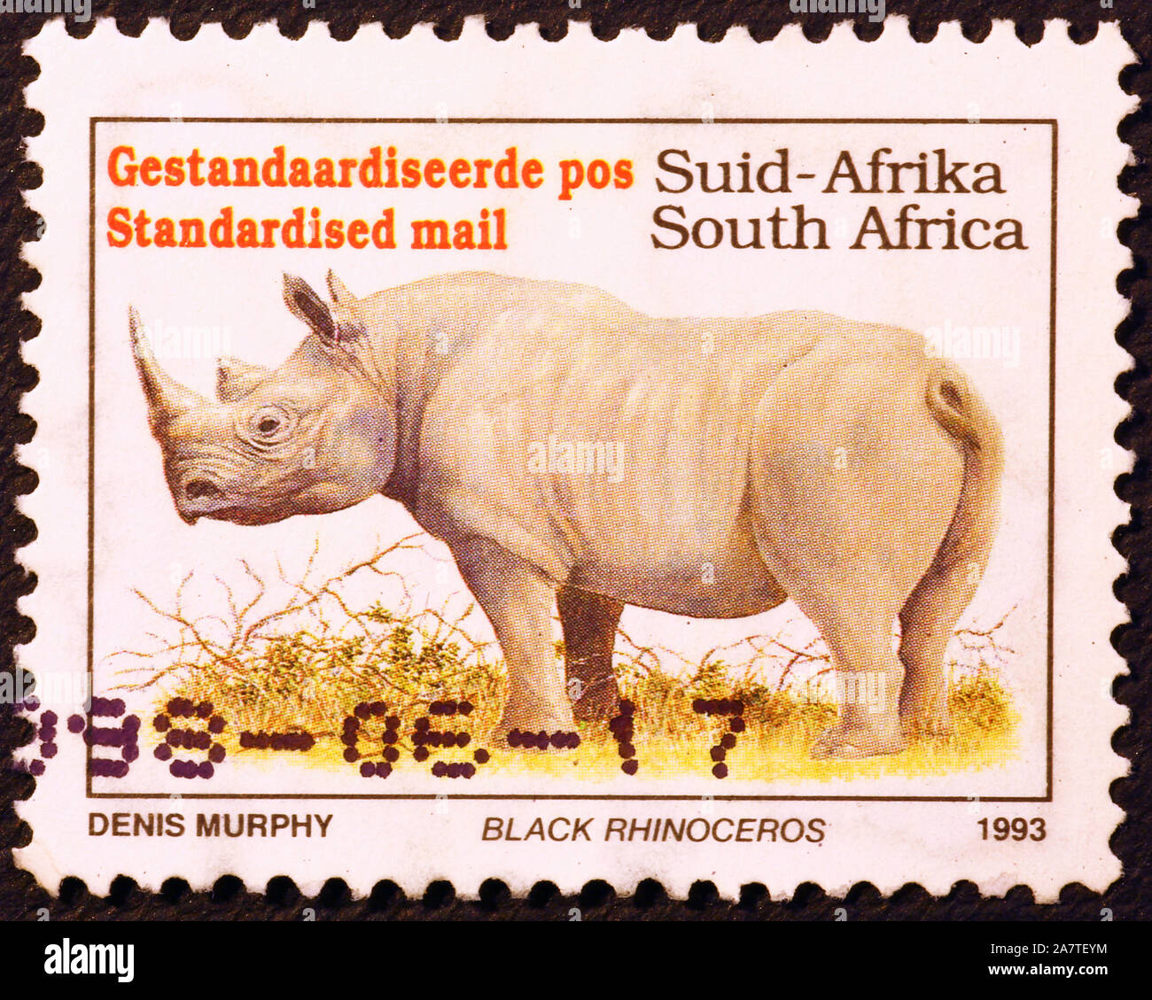 Black rhino on postage stamp of South Africa Stock Photo