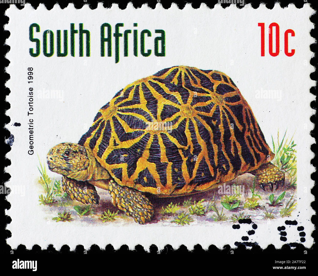 Geometric tortoise on south african postage stamp Stock Photo - Alamy