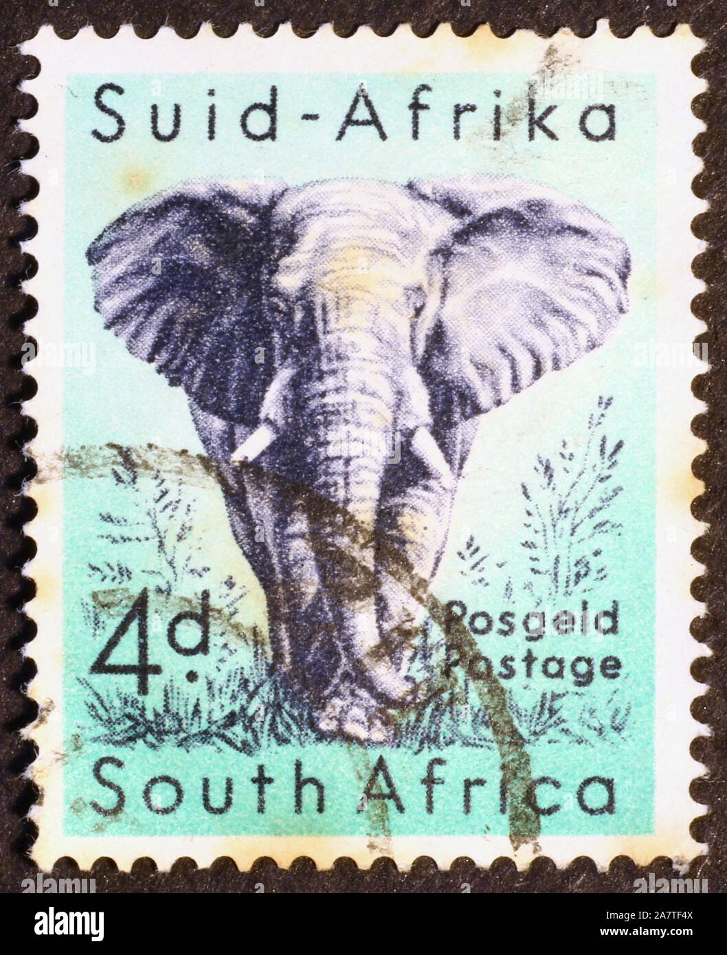 Wild elephant on vintage southafrican stamp Stock Photo