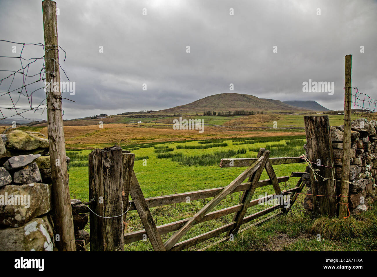 Agricultural walls and fencing alongside the B2665 road near the