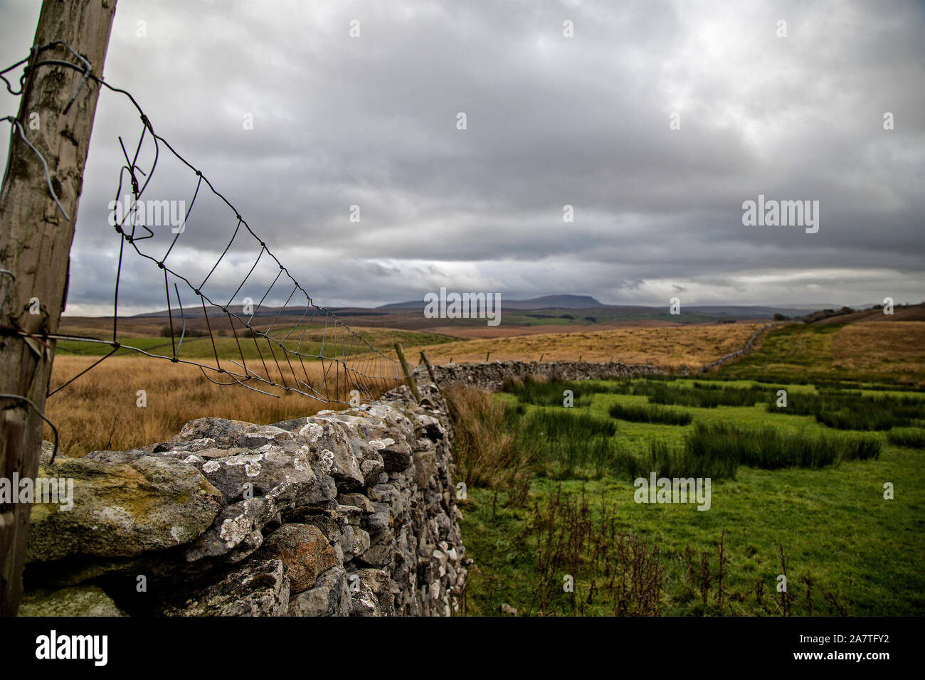 Agricultural walls and fencing alongside the B2665 road near the