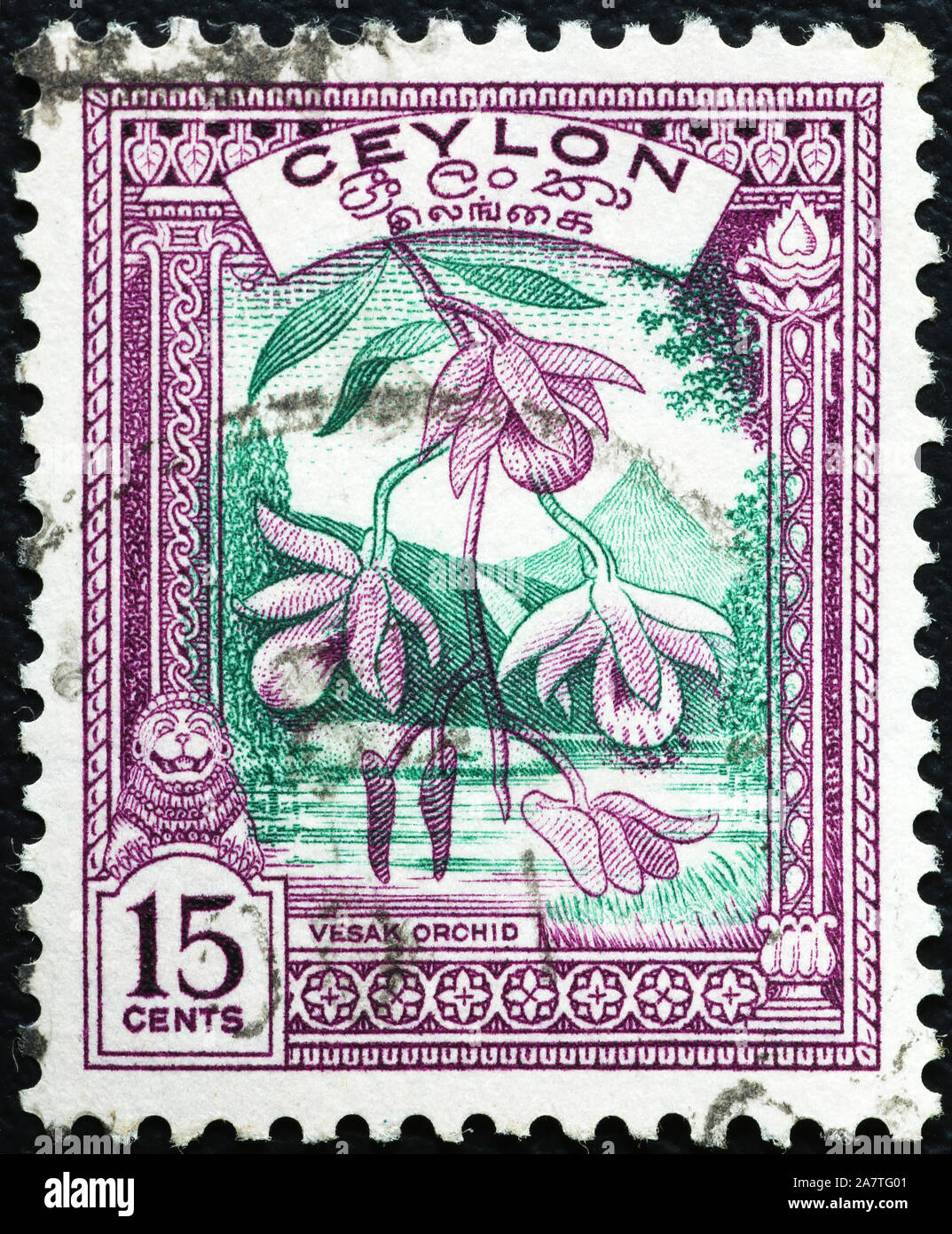 Orchid on old postage stamp of Ceylon Stock Photo