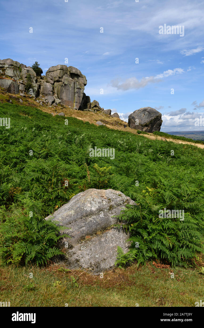 Scenic rural landscape of summer sunlight on high rocky outcrop, bracken & blue sky - Cow and Calf Rocks, Ilkley Moor, West Yorkshire, England, UK. Stock Photo