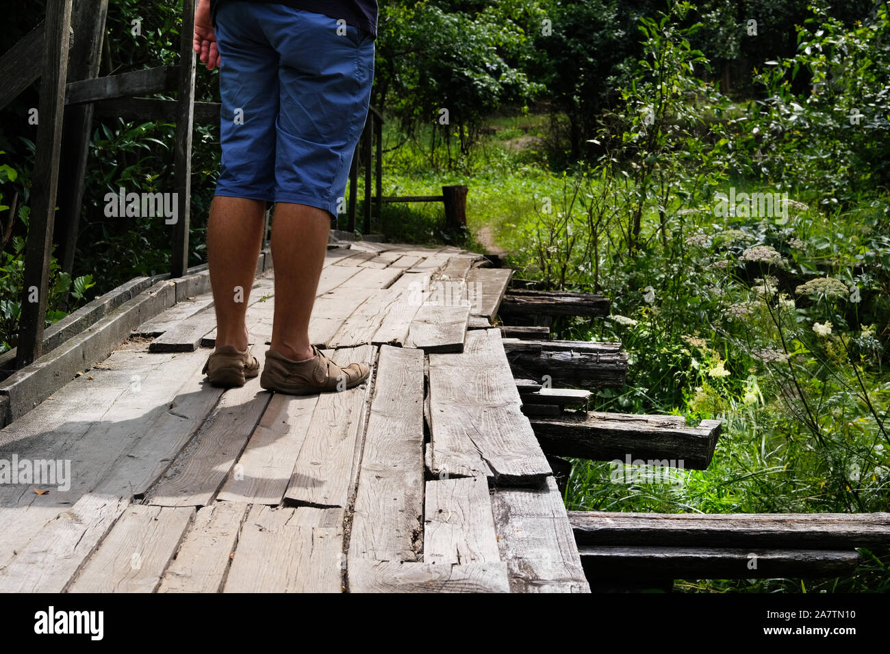 Broken rural bridge along path in green forest for tourists. Country view. Tourist green walkway. Wooden pathways. Stock Photo