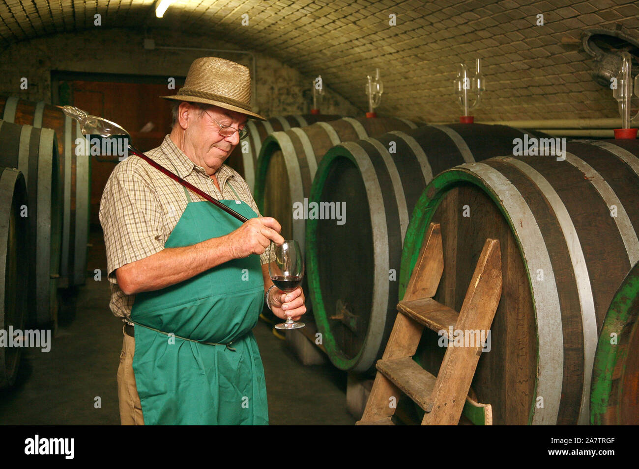 Ein Winzer im Weinkeller probiert einen Wein Stock Photo