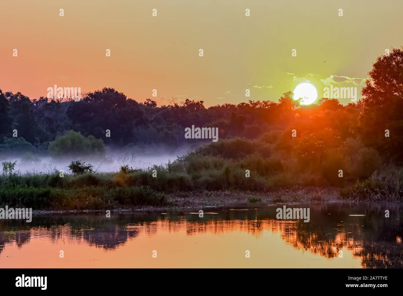 Foggy colorful Florida sunrise in the wetlands Stock Photo