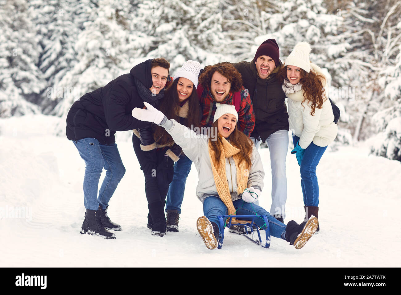 Group of friends enjoying pulling a sled in the snow in winter Stock Photo