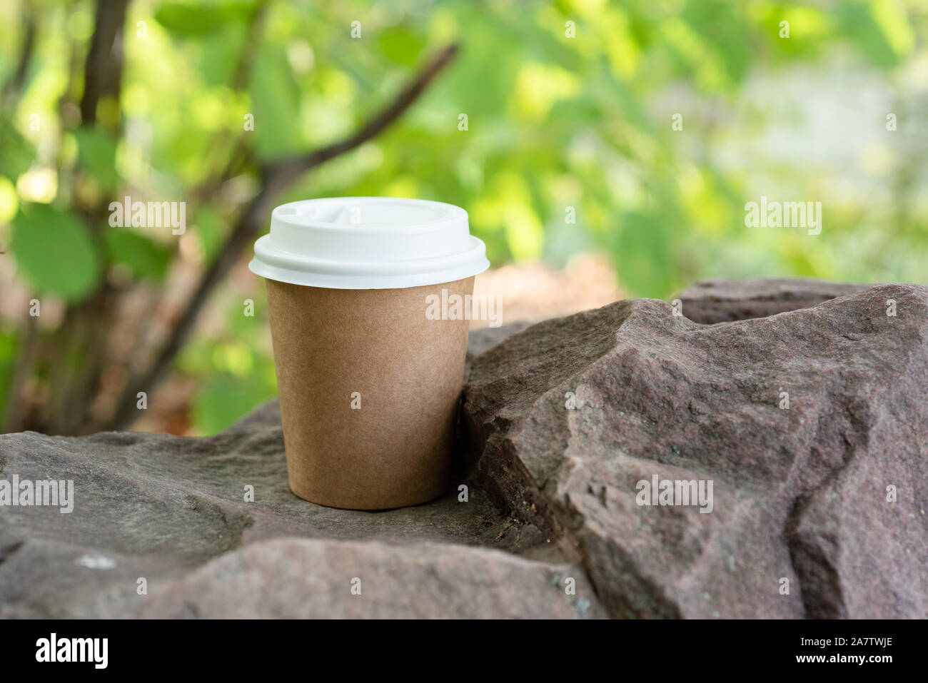 Disposable paper cup on a background of nature on the stones Stock ...