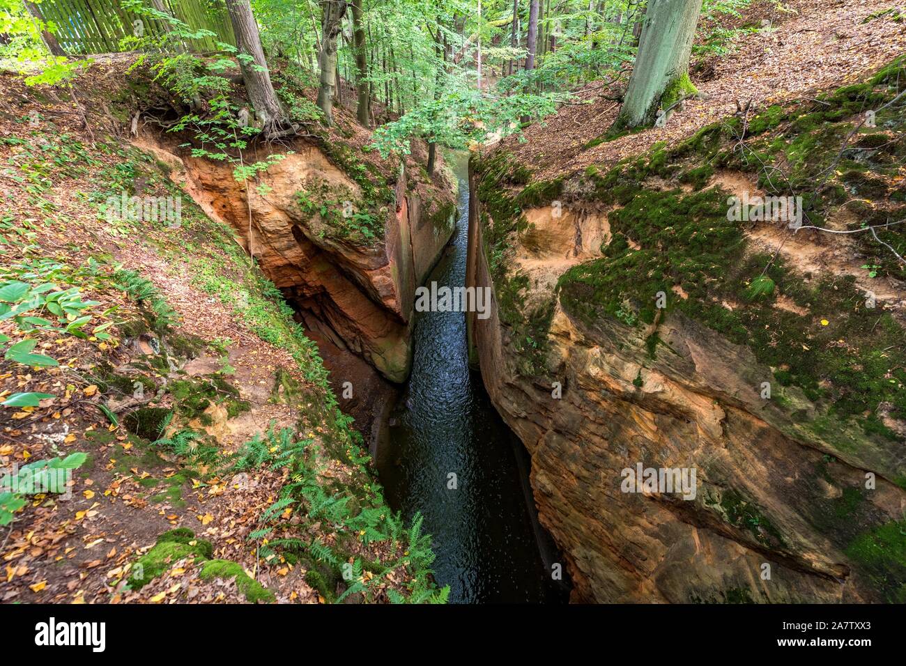 Ploucnice Gap (also called Hell's esophagus, thunderbolt or Devil's Hole)  is an artificial water tunnel through which flows the river Ploucnice. It  is Stock Photo - Alamy
