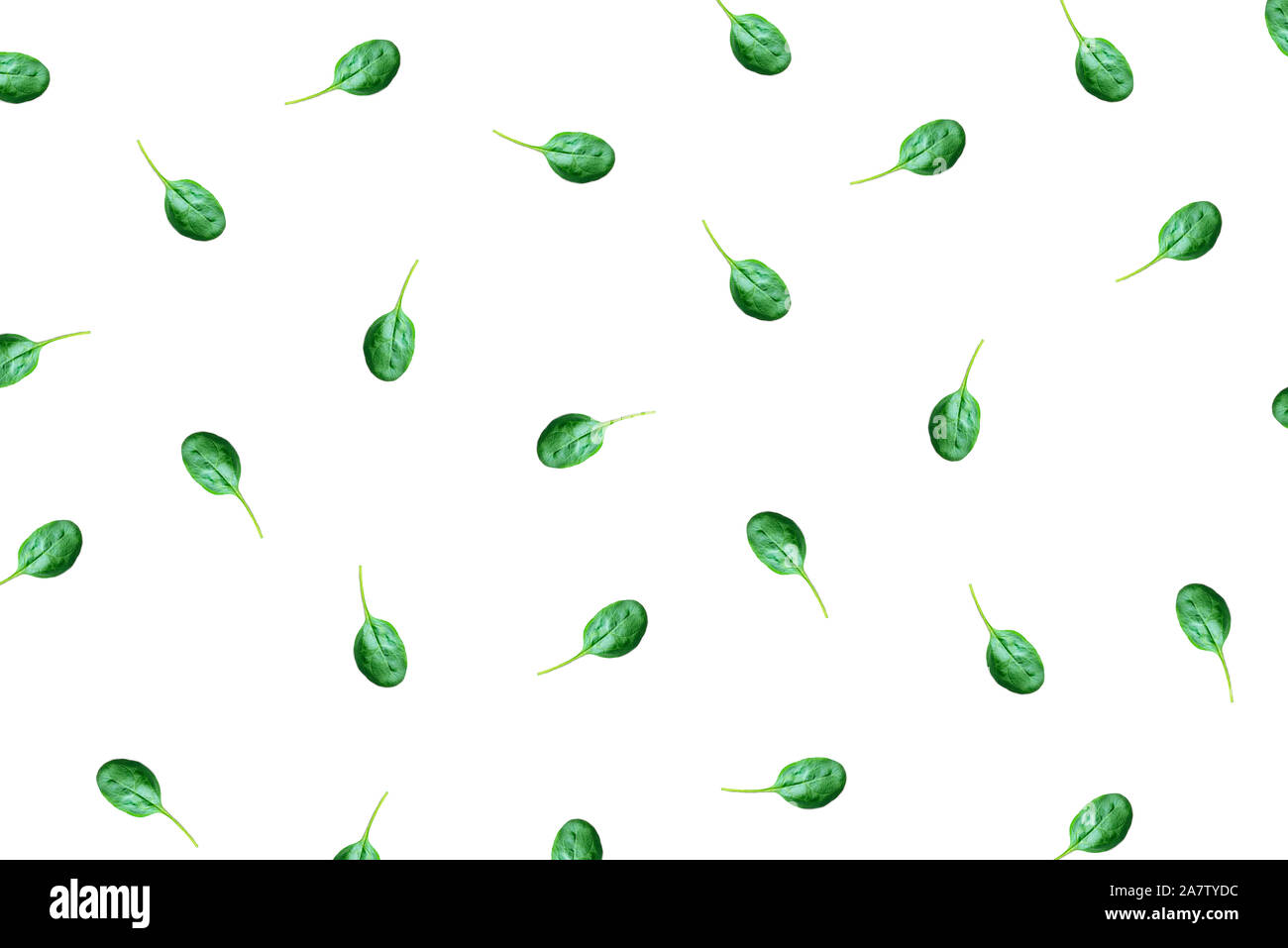 The pattern of spinach leaves on a white background Stock Photo - Alamy