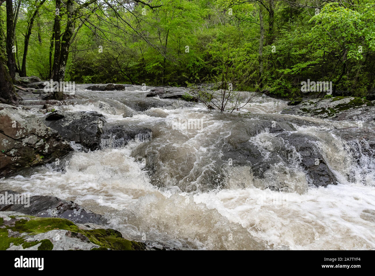 Spring rivers in the Ozark Mountains Arkansas Stock Photo Alamy