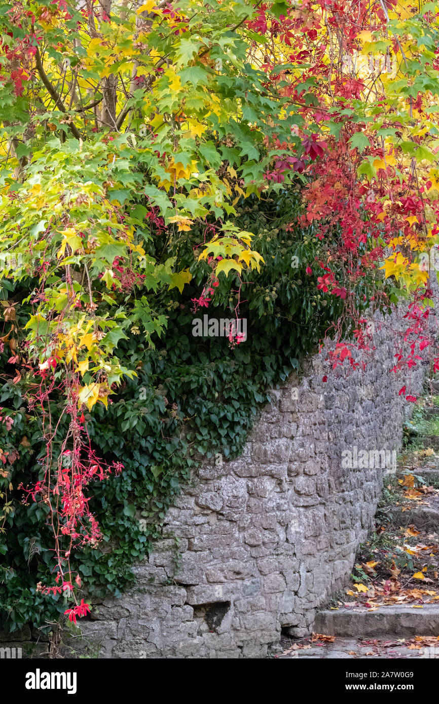 Stone steps leading to the River Brue near Packhorse Bridge in Bruton, Somerset UK, photographed in autumn with the leaves on the trees changing colou Stock Photo