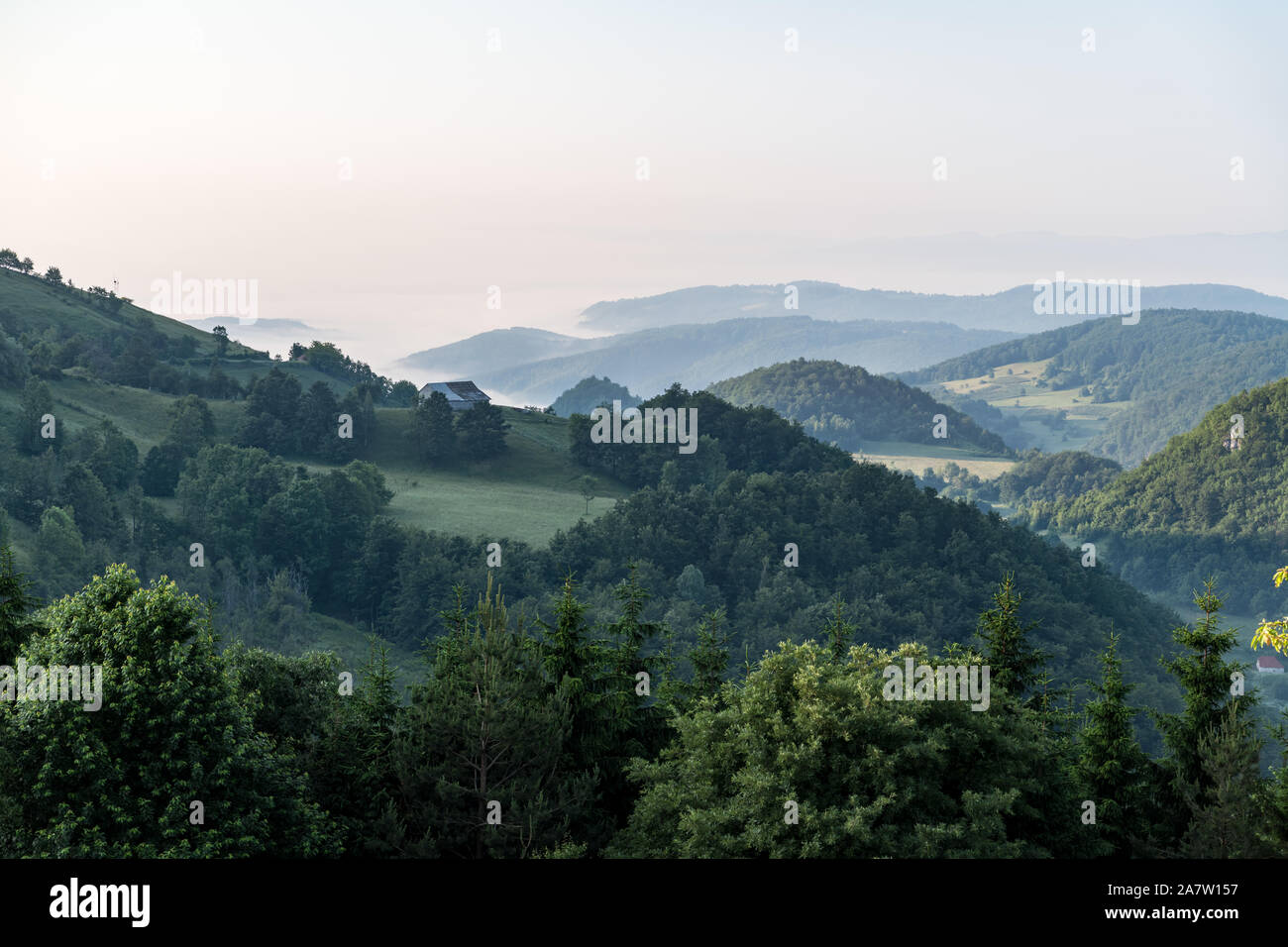 Green fog hi-res stock photography and images - Alamy
