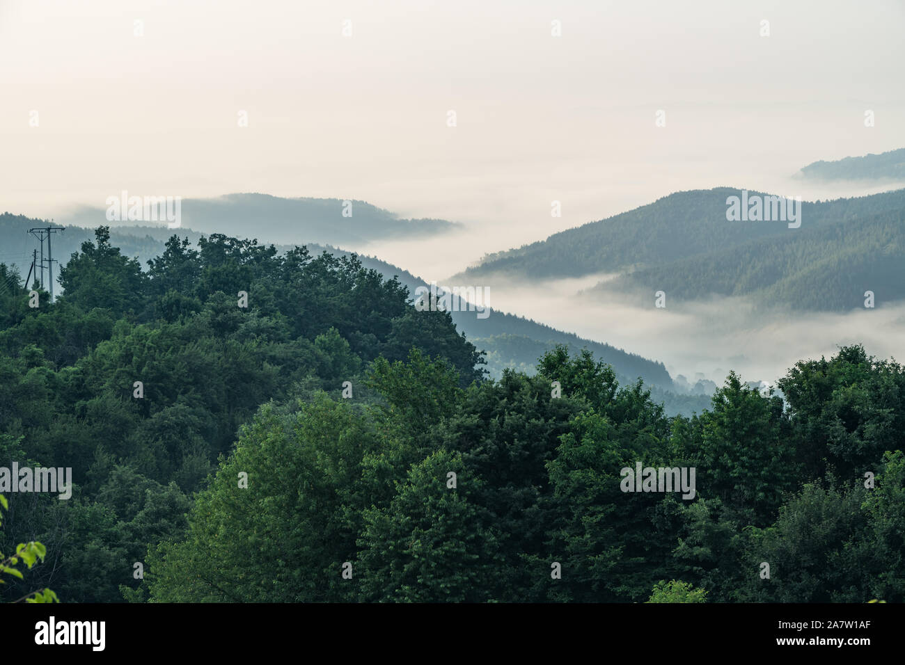 Fog covered forest mountain hi-res stock photography and images - Alamy