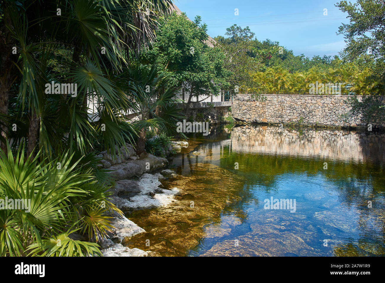 Artificial swamp hi-res stock photography and images - Alamy