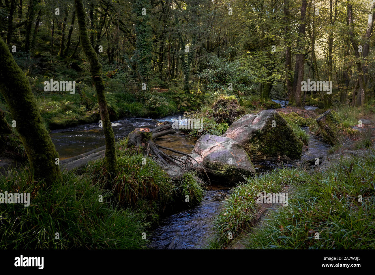 The River Fowey flowing through the ancient oak woodland of Draynes Wood at Golitha Falls in Cornwall. Stock Photo