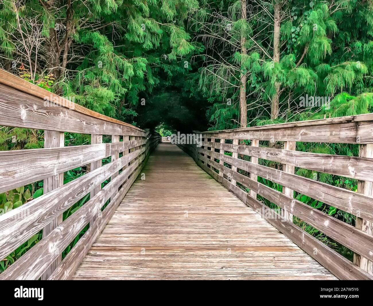 wakodahatchee wetlands elevated boardwalk in Florida Stock Photo