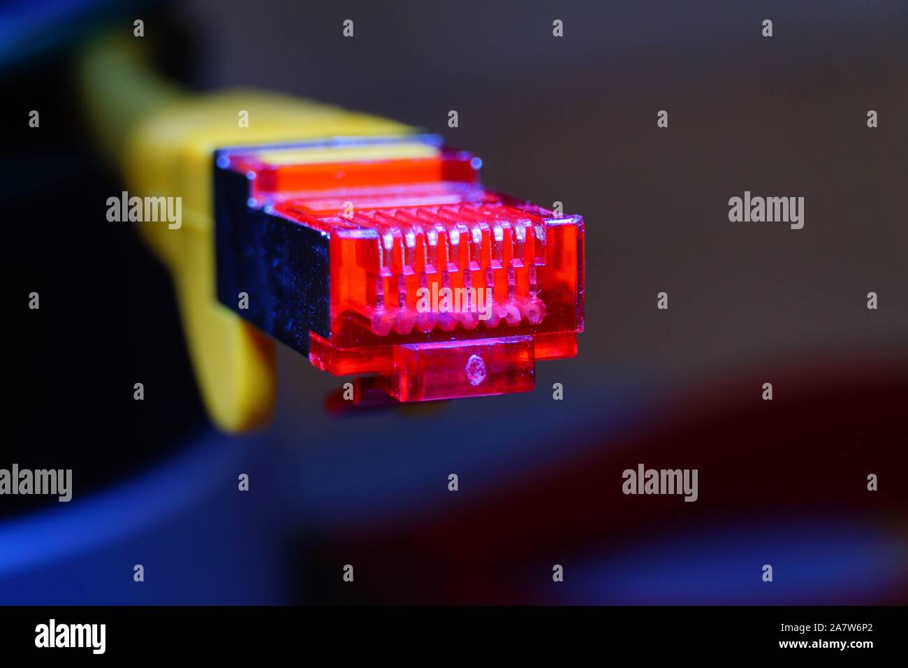 Macro cross section angle view of yellow RJ45 CAT6 shielded network data internet cable red connector on dark background Stock Photo