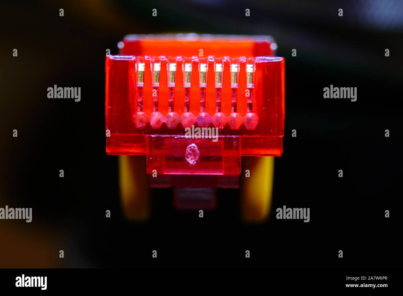 Macro cross section front view of yellow RJ45 CAT6 shielded network data internet cable red connector on dark background Stock Photo