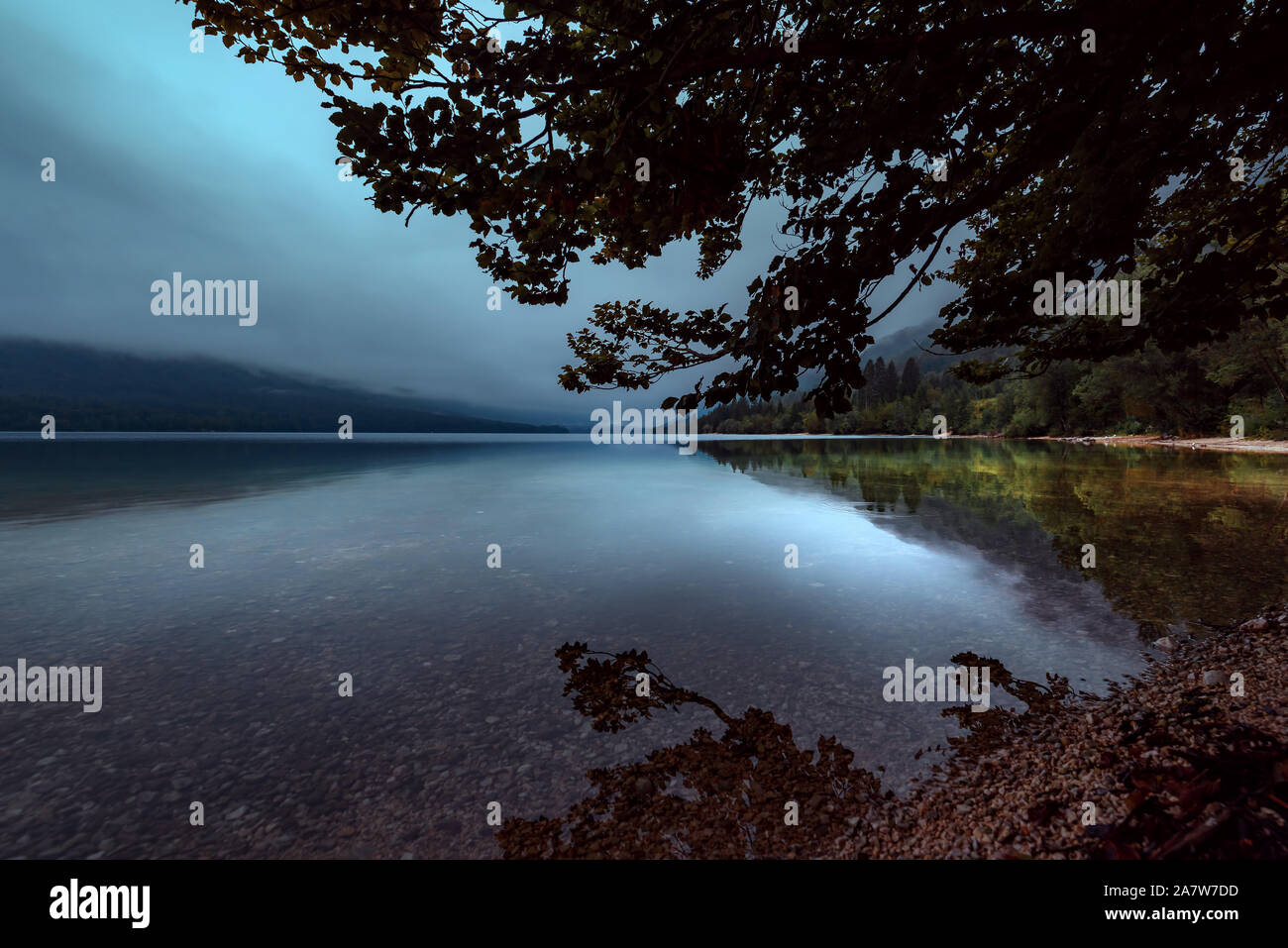 Crack of dawn on Lake Bohinj in Slovenia, beautiful tranquil landscape with autumnal fog on the lakeshore Stock Photo