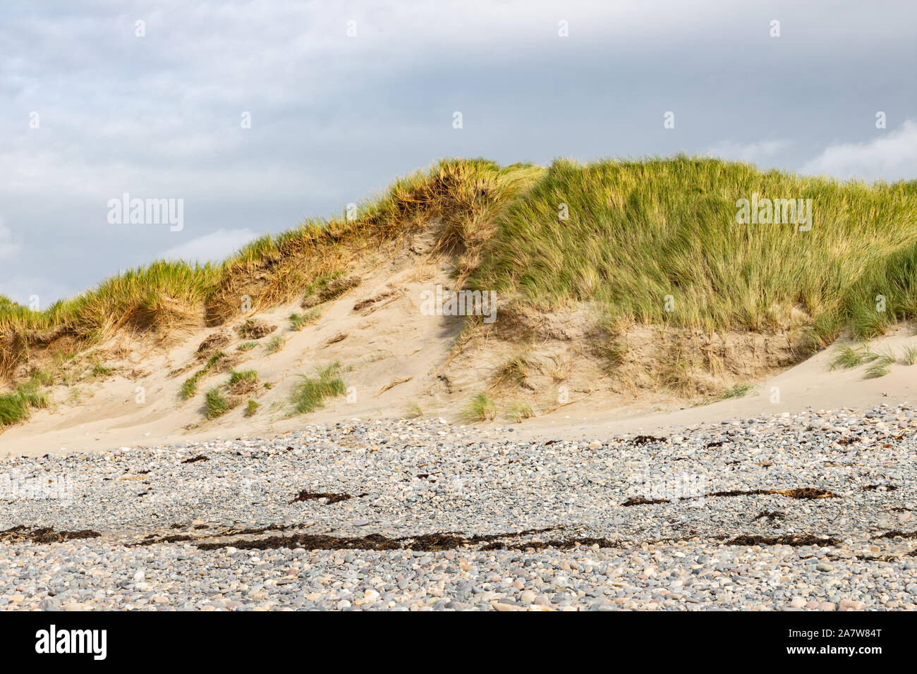 Sand Dunes And Vegetation At Bertra Beach Westport Ireland Stock Photo Alamy Sand Dunes And Vegetation At Bertra Beach Westport Ireland Stock Photo Alamy