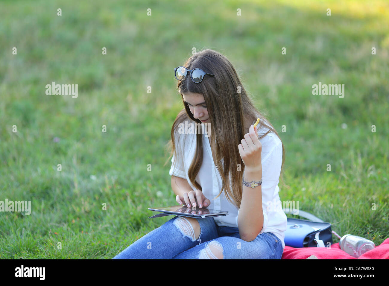 young girl sitting on the grass in the park and works at a laptop and ...