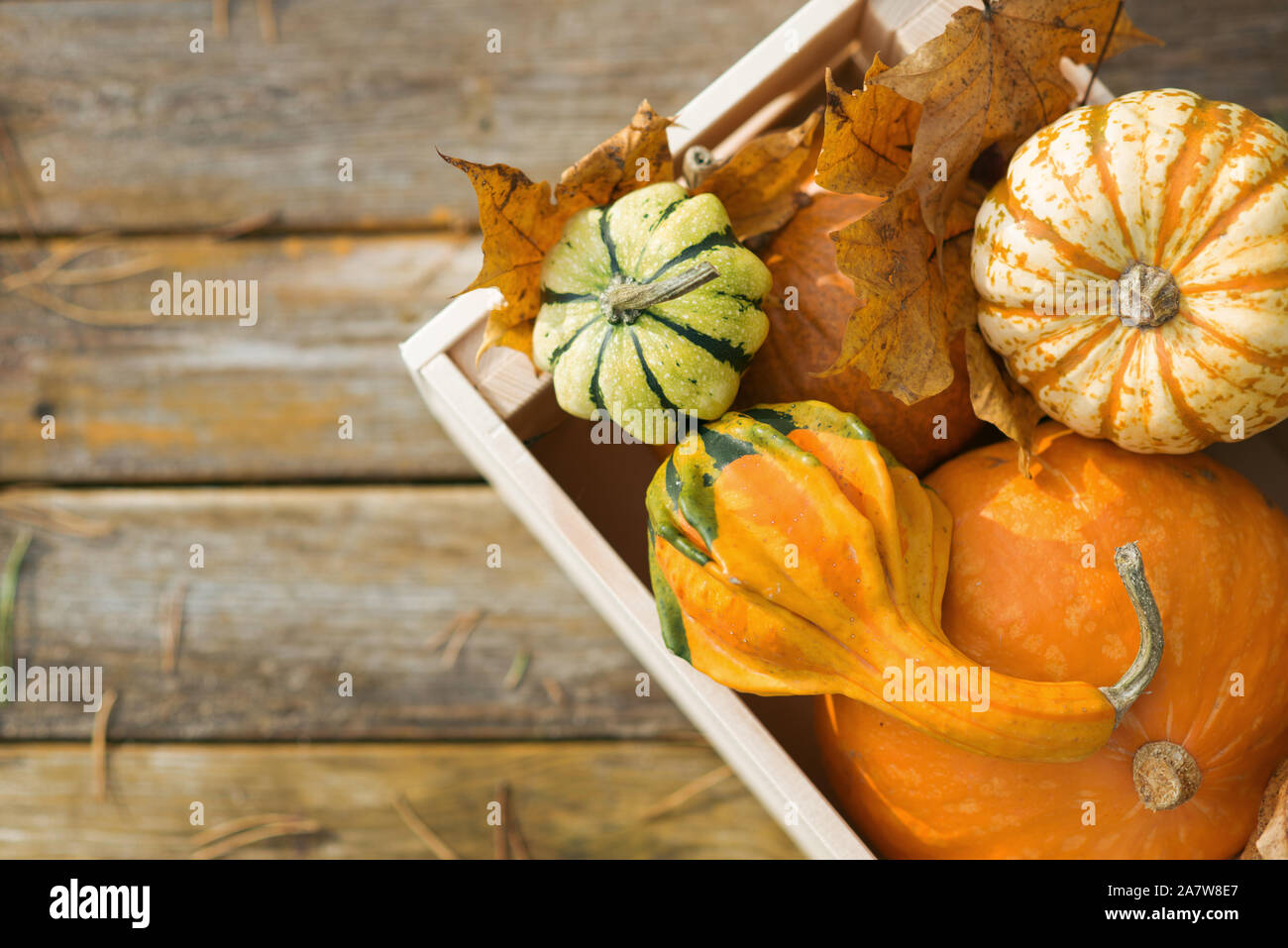 Decorative pumpkins in the box on wooden background with autumn leaves ...
