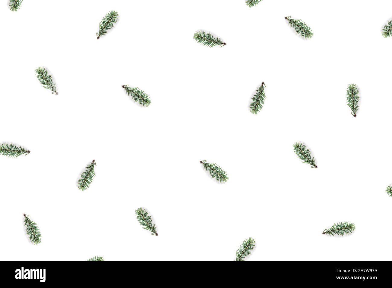 Christmas pattern of a branch of fir isolated on white background Stock ...