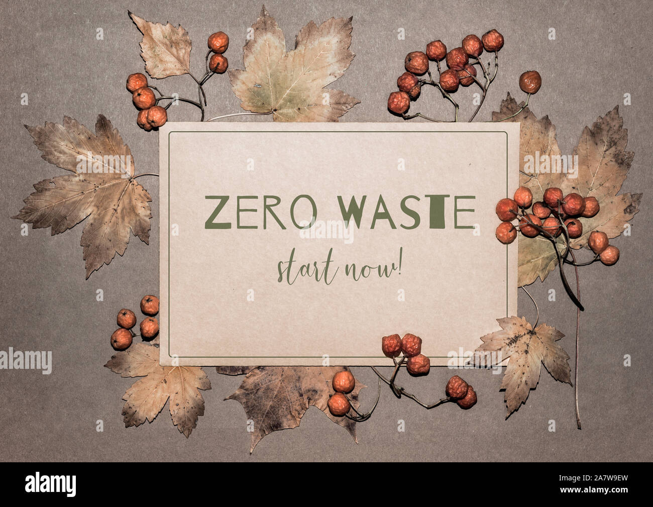 Autumn leaves and rowan berries on textured paper background. Natural seasonal decorations that do not need recycling. Text 'Zero Waste, start now!' o Stock Photo