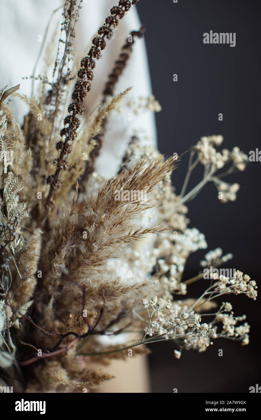 Beautiful autumn bouquet of dry materials in the hands of a woman Stock ...